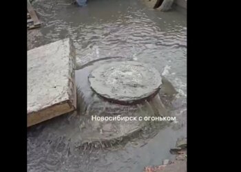 Третий год в нечистотах: жители Камышенской жалуются на бесконечный разлив канализации