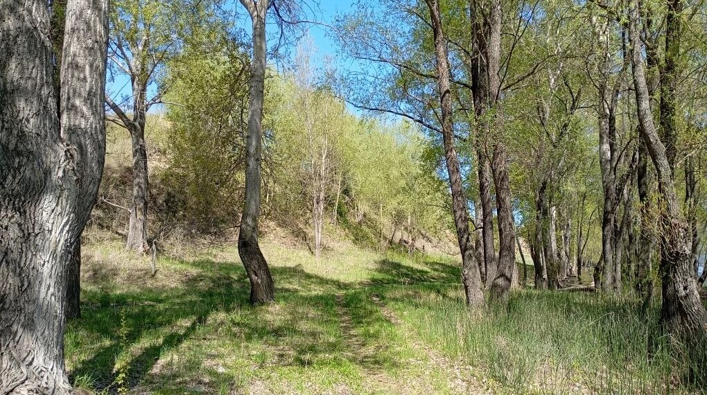 Участок с полезными ископаемыми за 200 млн рублей вернули государству через суд