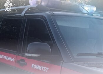 Полугодовалая девочка погибла в Кузбассе — мать обнаружила её тело в автомобиле