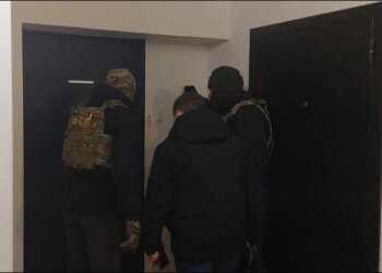 Жительницу Новосибирска осудили на 5 лет за экстремистские посты в интернете