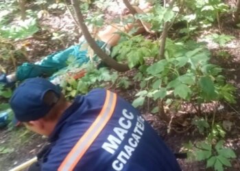 В Новосибирске спасатели вызволили из оврага двух мужчин с опарышами во рту