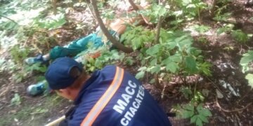 В Новосибирске спасатели вызволили из оврага двух мужчин с опарышами во рту