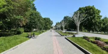 Назван самый жаркий день в истории Новосибирска