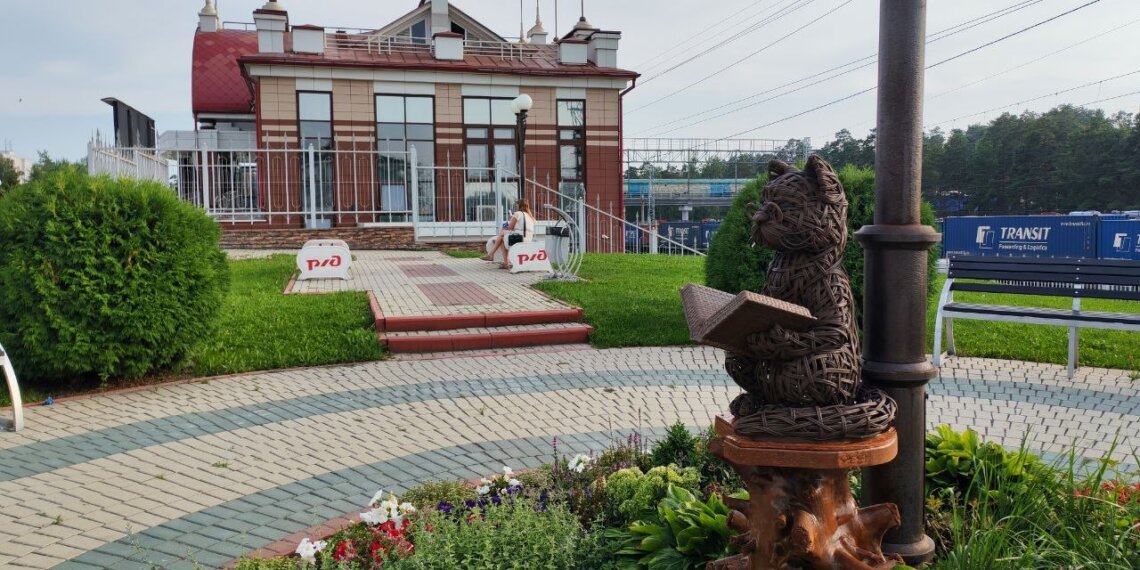 В Академгородке появился ещё один учёный кот — теперь у станции Сеятель