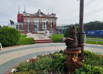 В Академгородке появился ещё один учёный кот — теперь у станции Сеятель
