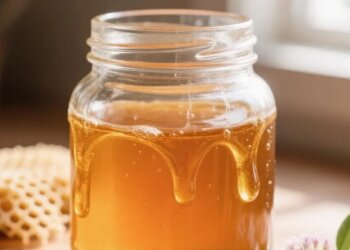 Мёд: история, свойства и как отличить качественный продукт