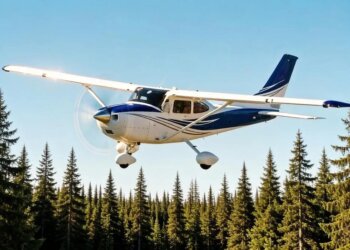 Третьи сутки в тайге: пропавшую под Иркутском Cessna не могут найти из-за непогоды