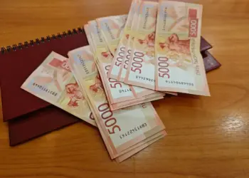 Новосибирцы могут увеличить свою пенсию добровольно: инструкция по действиям