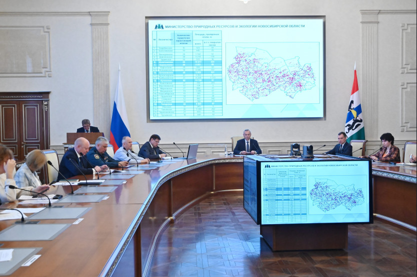Приоритетом остается оперативность: в Новосибирской области подвели предварительные итоги пожароопасного сезона