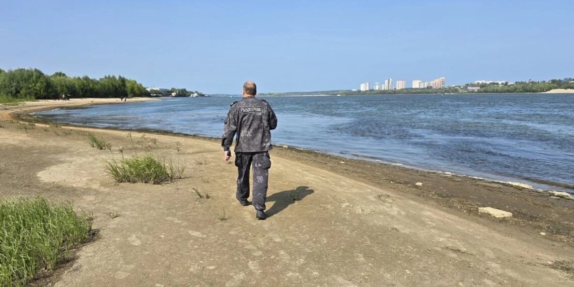 В Новосибирске продолжает гибнуть всё живое