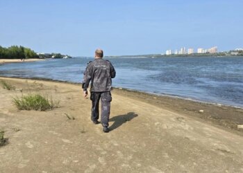 В Новосибирске продолжает гибнуть всё живое