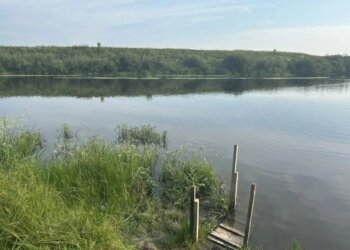 Двое детей утонули 2 августа в Новосибирской области