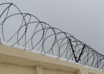 Трудовые будни не задались: новосибирский вор отправился за решетку вместо уборки парка