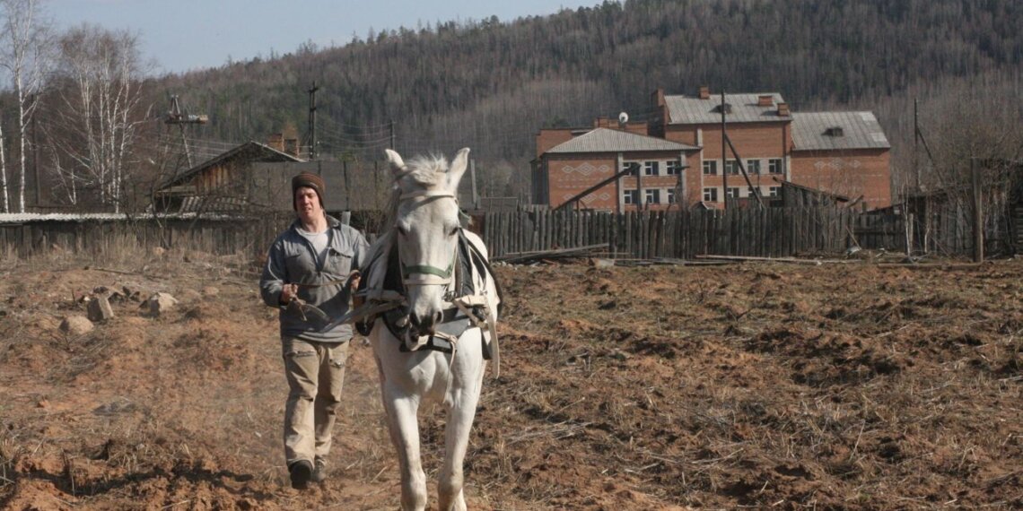 Из Айдахо в алтайскую глушь: история фермера, которого чуть не депортировали