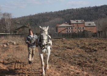 Из Айдахо в алтайскую глушь: история фермера, которого чуть не депортировали