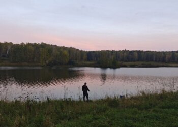 Ученые выяснили настоящую причину гибели сибирских лесов