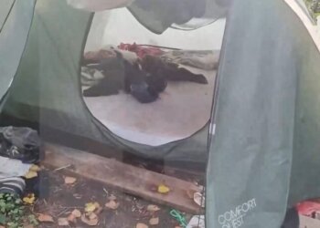 Жених не пришёл на поминки растерзанной медведем девушки