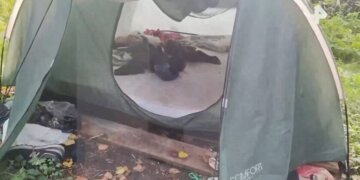 Жених не пришёл на поминки растерзанной медведем девушки
