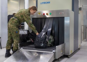 Более 147 кг насвая изъяли в аэропорту Толмачево с начала лета