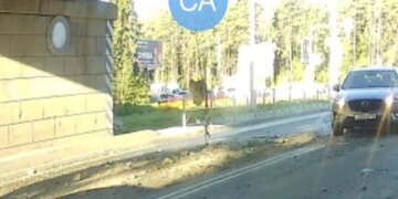 Кусок бетона отвалился с путепровода в Академгородке Новосибирска