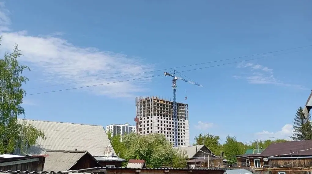 Новый план КРТ в Новосибирске затронет «Берёзовую рощу»