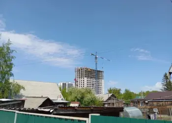 Новый план КРТ в Новосибирске затронет «Берёзовую рощу»