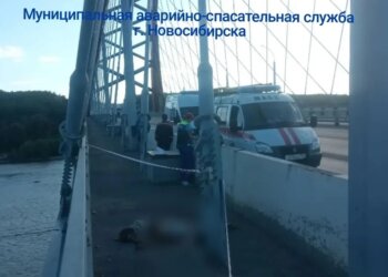 Мужчина погиб, упав с арки Бугринского моста в Новосибирске