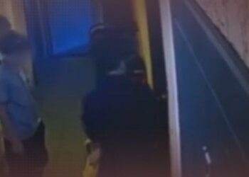 Вооружённая плоскогубцами сибирячка избила двух 12-летних девочек из-за еды на подоконнике