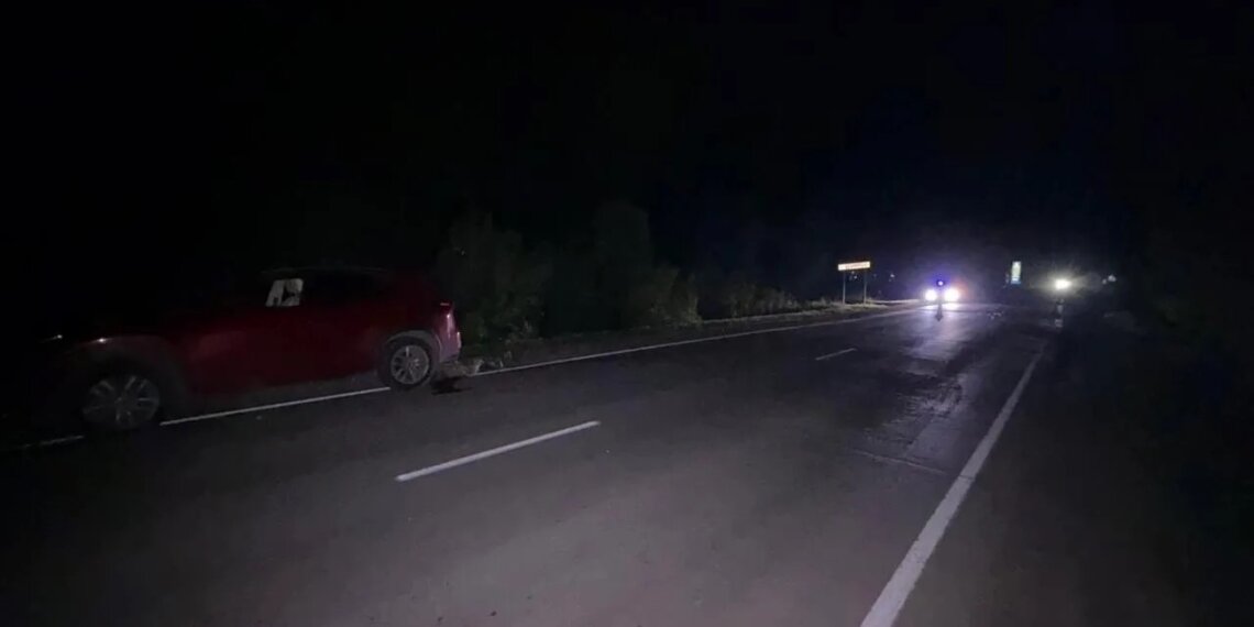 Водитель «Лексуса» насмерть сбила пешехода в Новосибирском районе