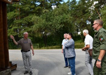 В Новосибирской области прорабатывают механизм строительства жилья для ветеранов СВО