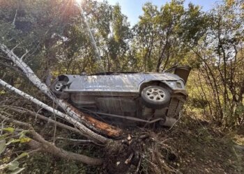 В Коченевском районе водитель без прав погиб в ДТП, врезавшись в дерево