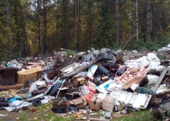 Суд обязал чиновников убрать две огромные свалки под Новосибирском