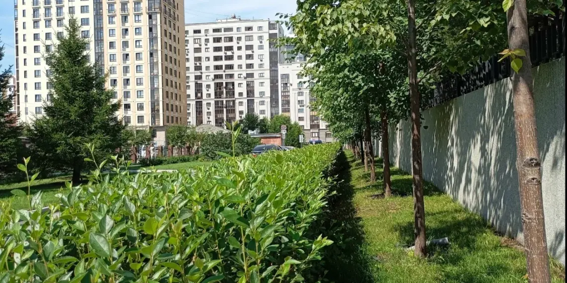 Новосибирская область готовится к теплу до +22°C