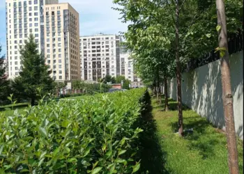 Новосибирская область готовится к теплу до +22°C