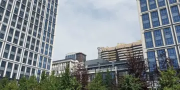 Второе бабье лето придёт в Новосибирск после похолодания