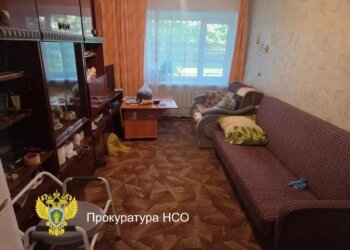 Внук зарезал 98-летнюю бабушку под Новосибирском