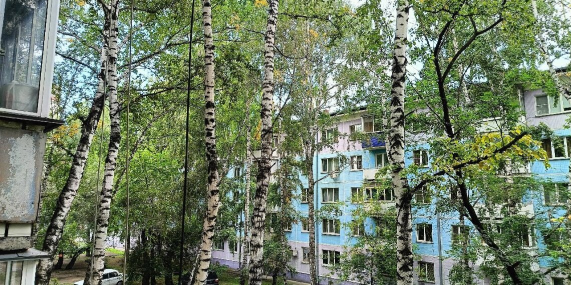 Жители Планировочной просят остановить вырубку зелёных насаждений