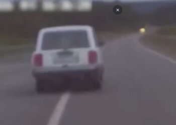 Алтайские полицейские устроили погоню со стрельбой на Чуйском тракте