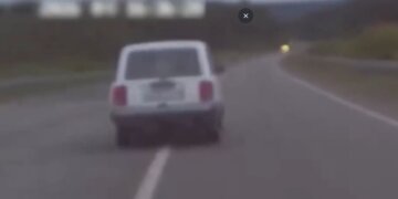 Алтайские полицейские устроили погоню со стрельбой на Чуйском тракте