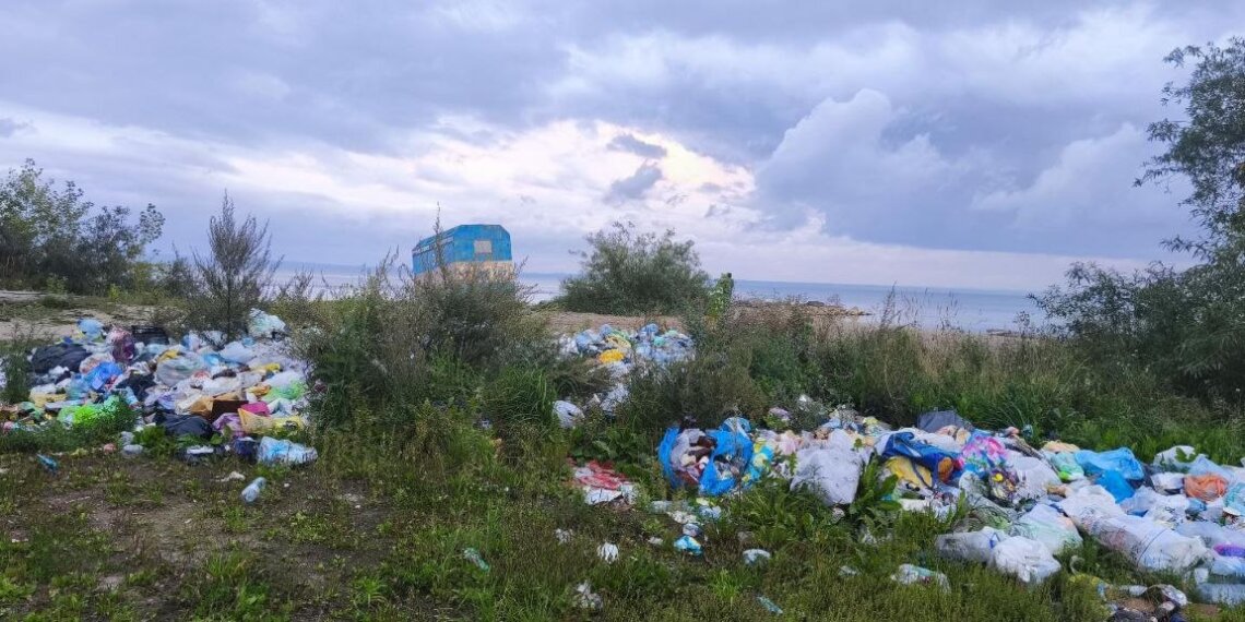 Чемской бор утопает в мусоре: тонны отходов остаются в лесу после летнего сезона