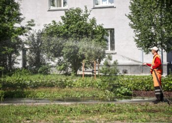 В Новосибирске перевыполнили план по озеленению города
