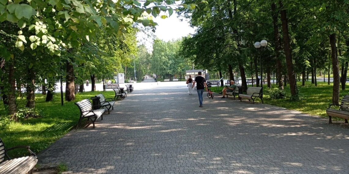 В Новосибирске перевыполнили план по озеленению города
