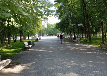 В Новосибирске перевыполнили план по озеленению города