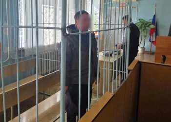 Убивший бабушку 48-летний новосибирец отправлен в СИЗО