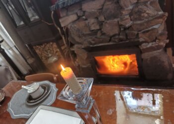 Иван-чай, облепиха и кедр: чем согреваются сибиряки, когда приходят холода