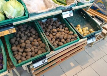 Жители Новосибирска пожаловались на качество картофеля в сетевых магазинах