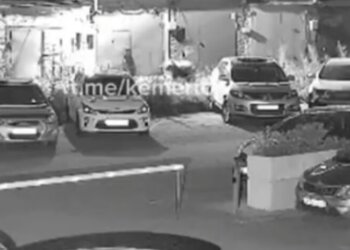 Медведь два дня держал в напряжении жителей Кемерова