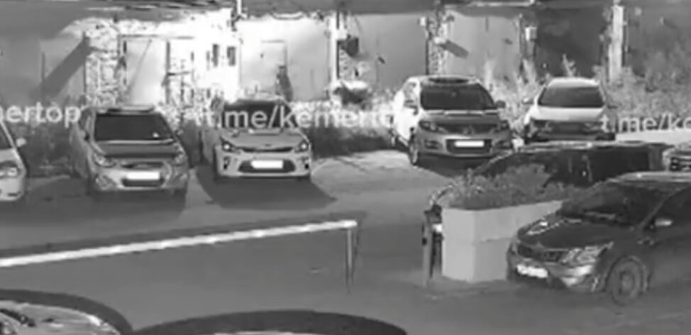 Медведь два дня держал в напряжении жителей Кемерова
