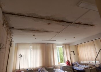 «На крыше растут берёзы»: жители Академгородка потребовали проверить роддом на Пирогова
