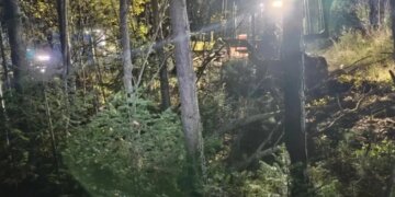 Новая жертва: в Красноярском крае медведь растерзал мужчину